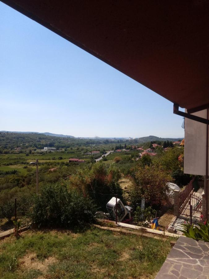 V Klancu Apartment Dekani Bagian luar foto