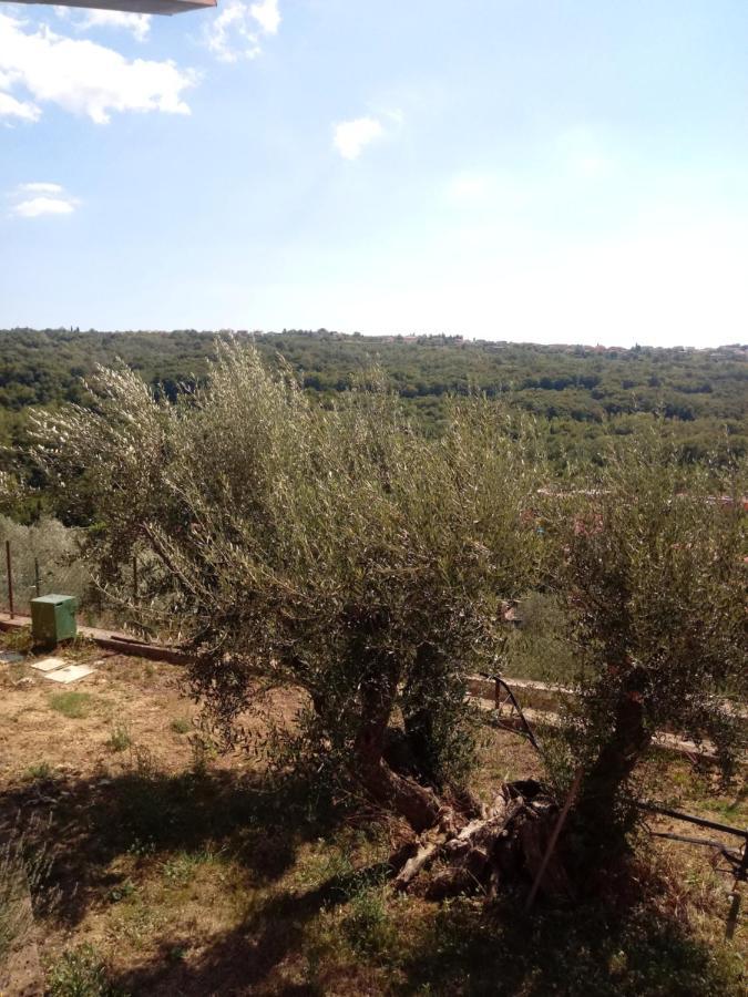 V Klancu Apartment Dekani Bagian luar foto